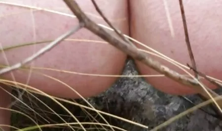 黒人男性は女の子に癌を入れて性交します。 無料 アダルト 動画 鈴木 一徹
