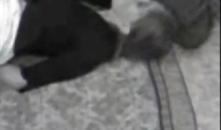 男はお尻を舐めて、赤毛をクソ。 女性 向け エロ 動画 拘束